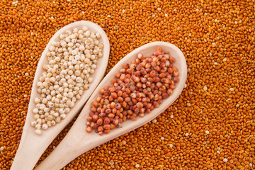 gluten free grains, millet, sorghum and linseed spoon on wooden natural background