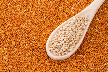 gluten free grains, millet, sorghum and linseed spoon on wooden natural background