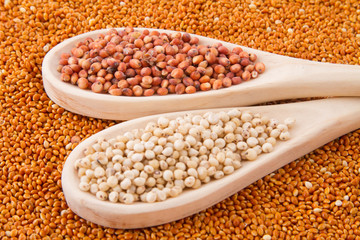 gluten free grains, millet, sorghum and linseed spoon on wooden natural background