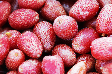 Goji berries frozen background