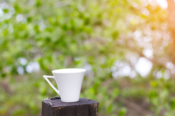 Stock Photo:.white coffee cup on Stump dry, relaxation forest ba