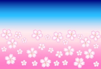 Sakura on blue and pink background