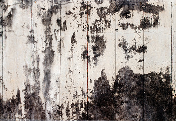 wood texture. background old panels