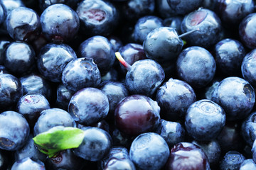 Blueberry food background close up