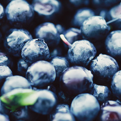 Blueberry food background close up