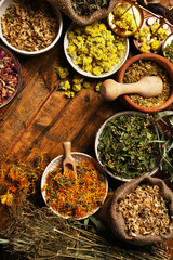 Assortment of dry medicinal herbs in bowls on wooden background top view