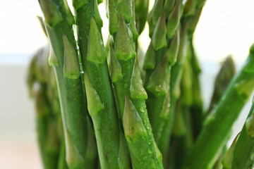 Fototapeta premium Asparagus, closeup