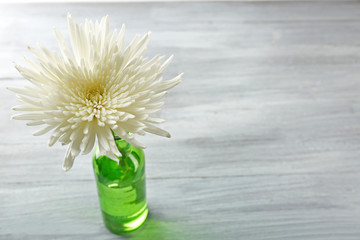 White chrysanthemum on wooden table