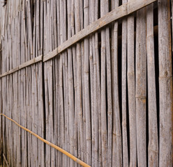 A line of yellow bamboo wall that fade and age by time.