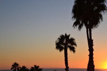 Obraz premium California Sunset