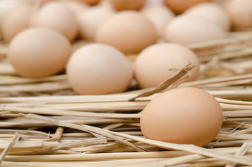 Hen eggs on straw, close up.