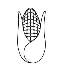 Organic and Healthy food concept represented by corn icon. isolated and flat illustration 