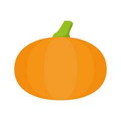 Organic and Healthy food concept represented by pumpkin icon. isolated and flat illustration 