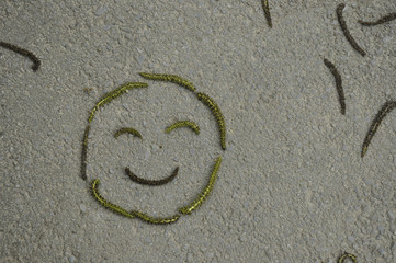 Summer smiley
