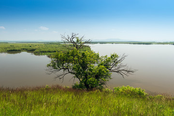 Magnificent views of the valley of the Amur River. Panorama Amur River.