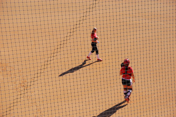 women play softball, selective focus on the net