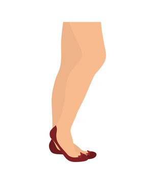Human body concept represented by female Legs icon. isolated and flat illustration 