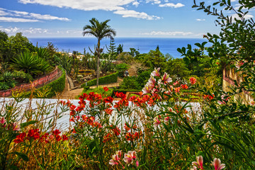 Madeira, Botanical Garden Monte, Funchal, Portugal - obrazy, fototapety, plakaty