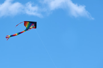 Kite in the sky