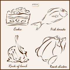 Set of a vector Illustration shows a Food. Cake, Fish dorado, Rack of lamb, Chicken