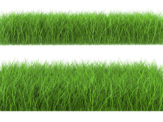 green grass side view