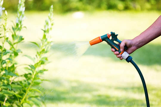 Woman Watering Flowers With Hose Sprayer