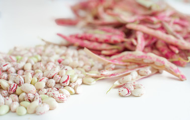Cranberry bean pods and seeds heap