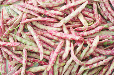 Cranberry bean pods background texture