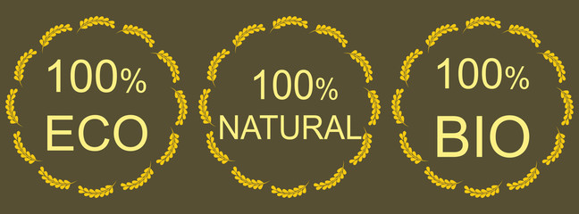 Organic natural and eco food icons