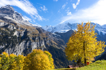 houses of small village near alpes mountains in switzerland