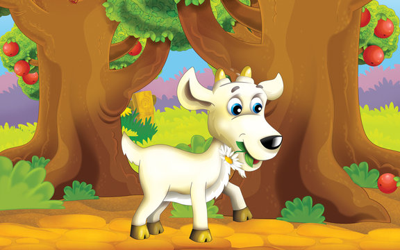 Cartoon farm scene with animal - goat -  illustration for children