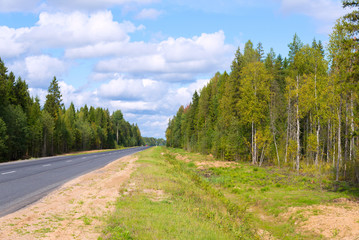 Fototapeta na wymiar asphalted road among autumn forest