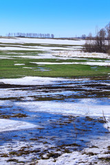 Early spring in the field