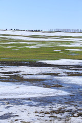 Early spring in the field