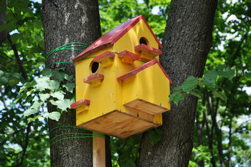 multi-family birdhouse