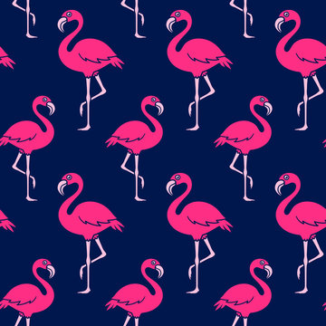 Vector Image Of Flamingoes