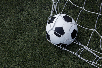 the soccer ball