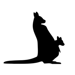 kangaroo