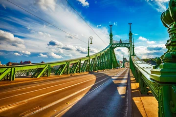 Plexiglas foto achterwand Road at freedom bridge in budapest © Yasonya