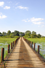 Fototapeta na wymiar Pirschfahrt in den überfluteten Okavango-Delta-Sümpfen. Game Dri