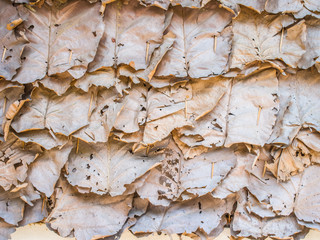 Brown leaf wall background