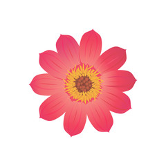 Beauty Flower Design Flat Isolated