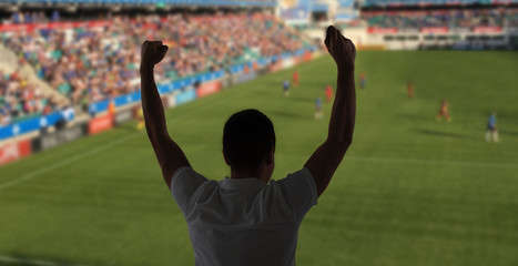 man watching soccer of football game on stadium