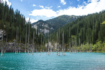 Kaindy Lake in Tien Shan mountain system, Kazakhstan © allenkayaa