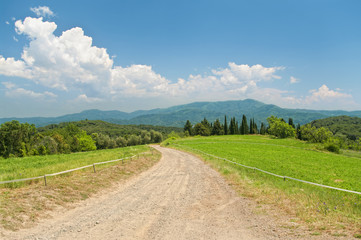 view of mountain countryside on sunny summer day