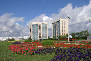 Blossoming colorful flowerbeds in summer city