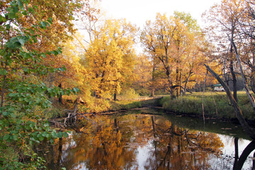 Obraz na płótnie Canvas autumn landscape