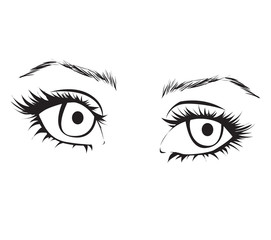 Female eyes outline