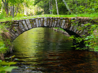 Small rock bridge over forest channel, Vchynice-Tetov Transport Channel, Bohemian Forest, Czech Republic