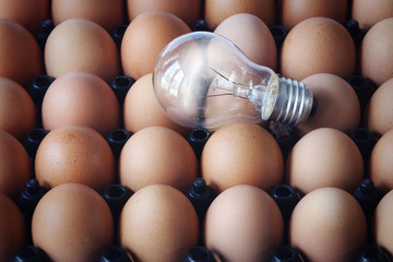 Lamps and eggs in the egg tray.